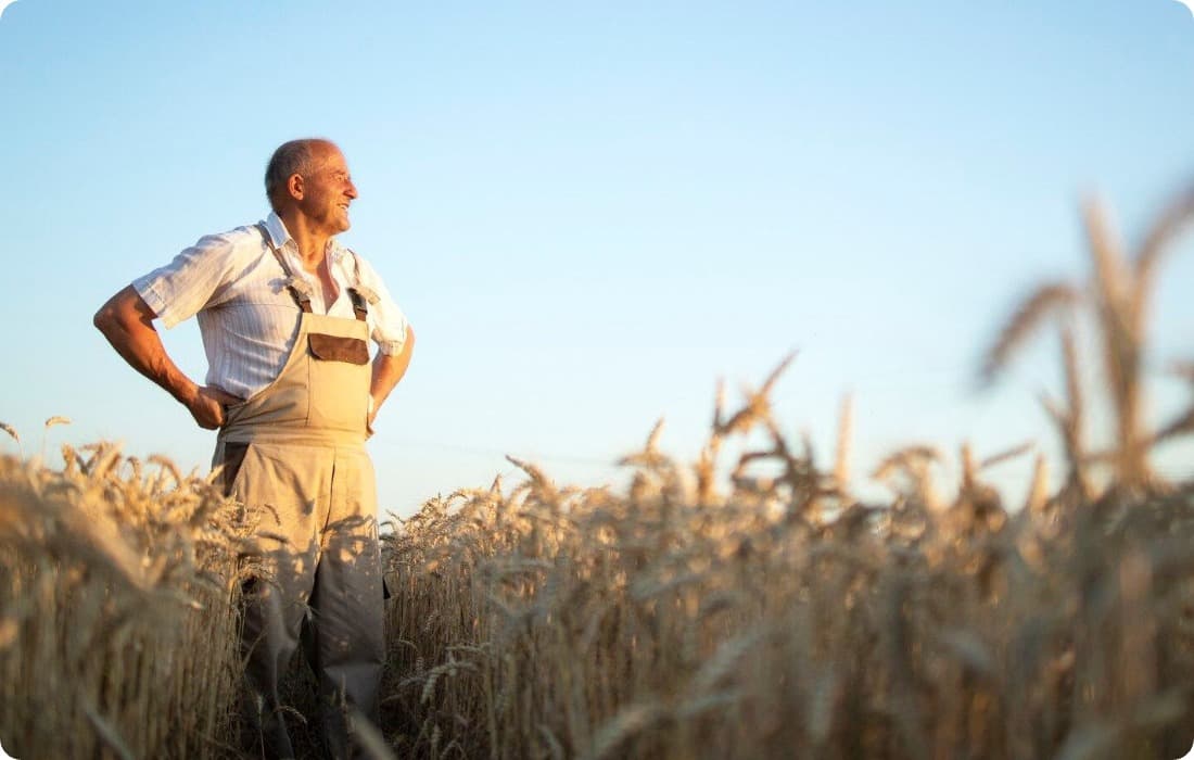 Тваринницький комплекс Млинівська Чайка