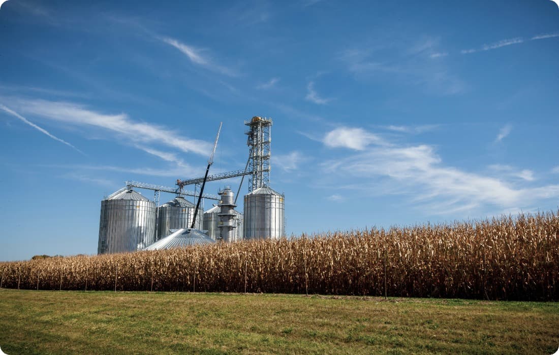 Виробничий цех м'ясопереробки