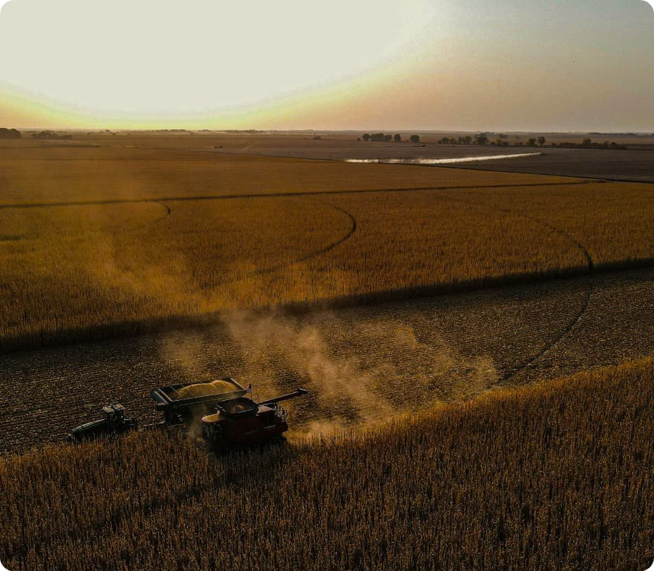 Пшеничне поле сільськогосподарського підприємства Чайка